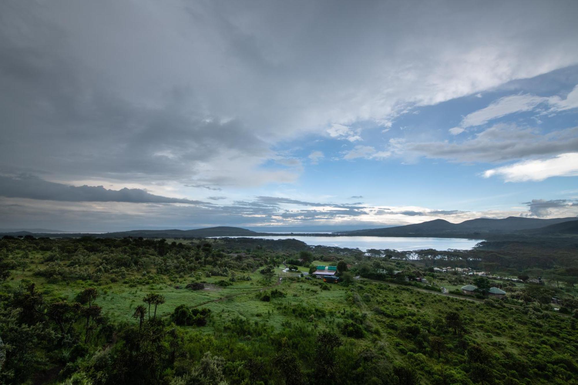 Naivasha Kongoni Lodge - Lakefront Getaway ภายนอก รูปภาพ